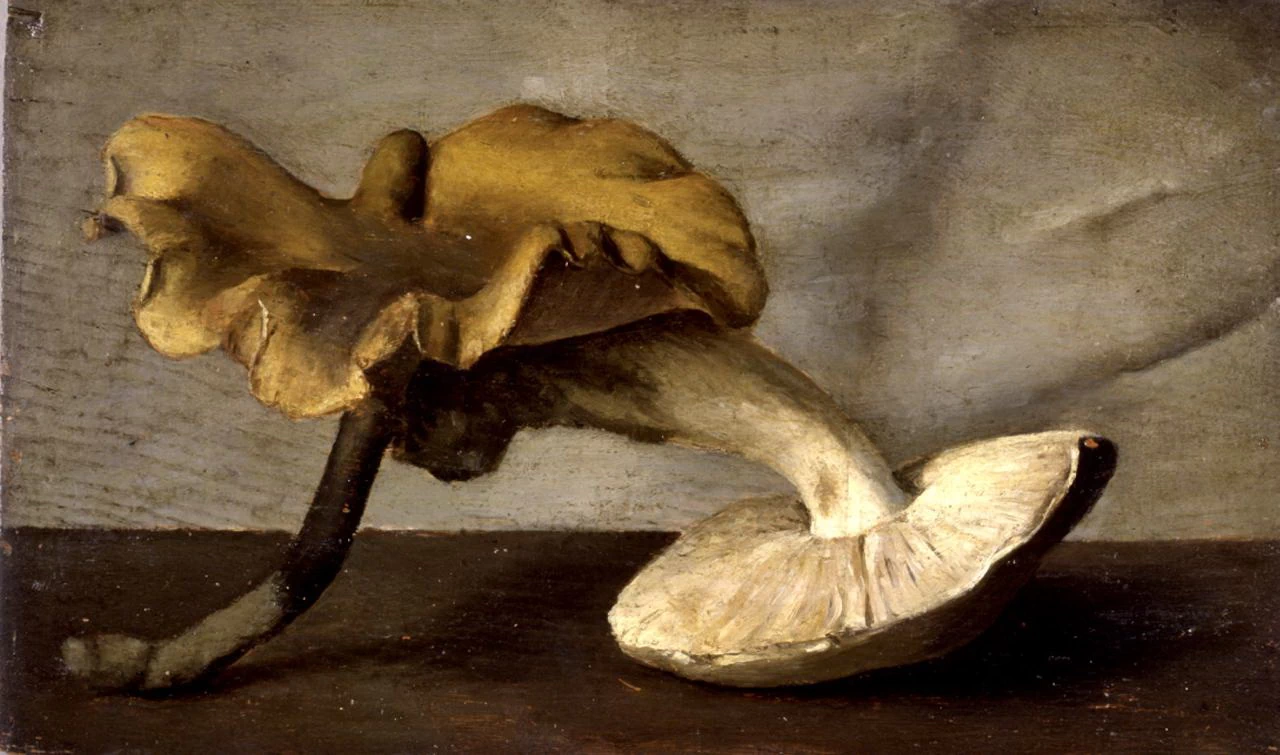 Natura morta con funghi - Palazzo Pitti